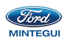 Mintegui